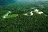 最大热带雨林气候区在什么地方？有着什么样的影响？