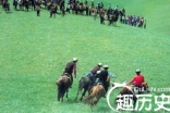 乌孜别克族传统的叼羊比赛是怎样进行的