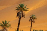 世界上面积最大的沙漠占地面积有多大？都有什么自然景观？